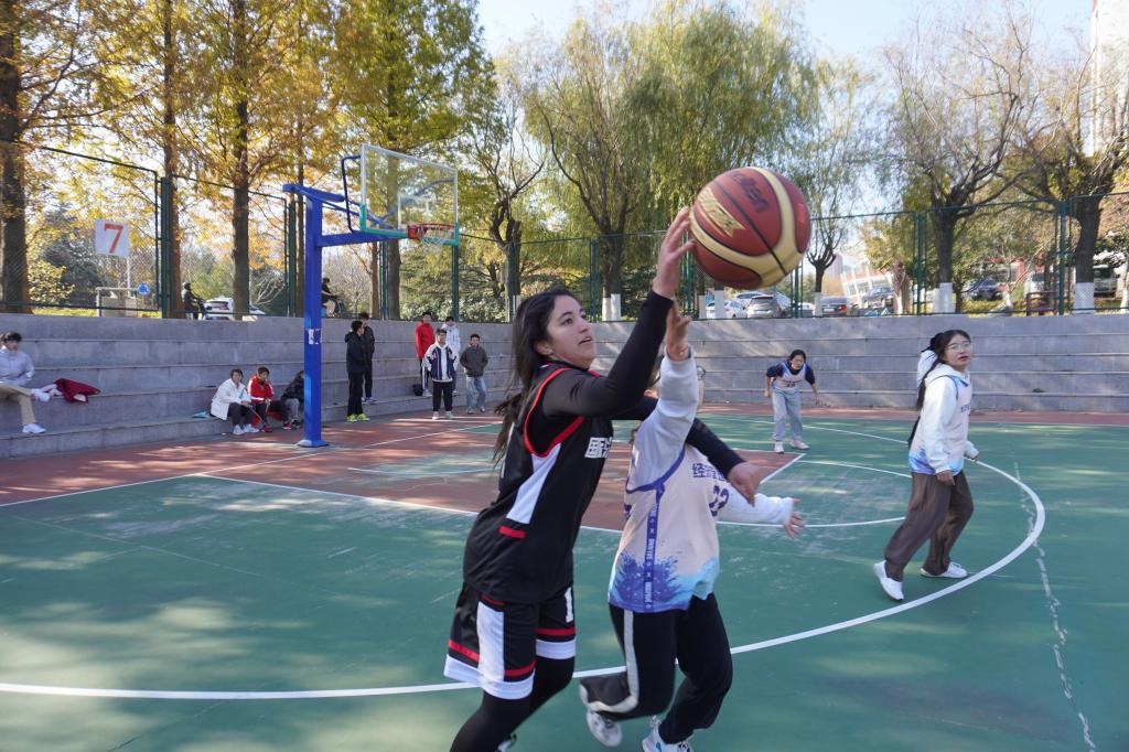 437ccm·必赢国际