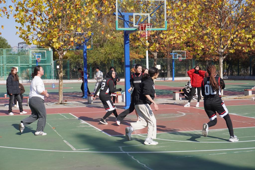 437ccm·必赢国际