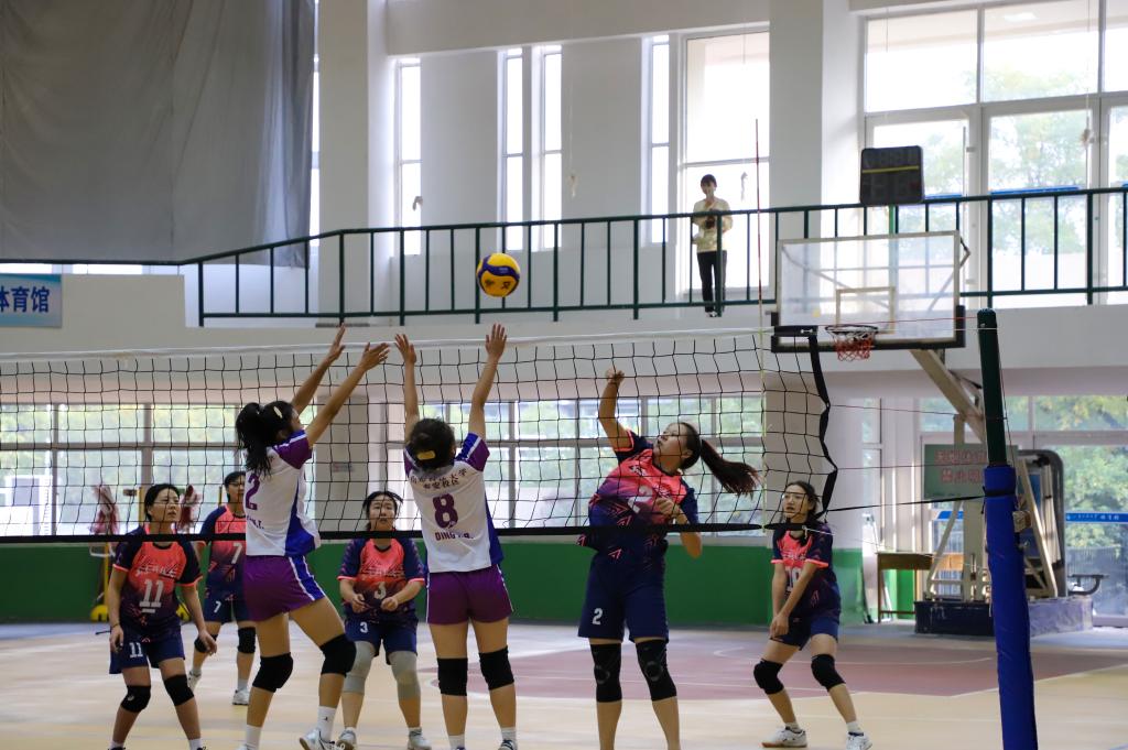 437ccm·必赢国际