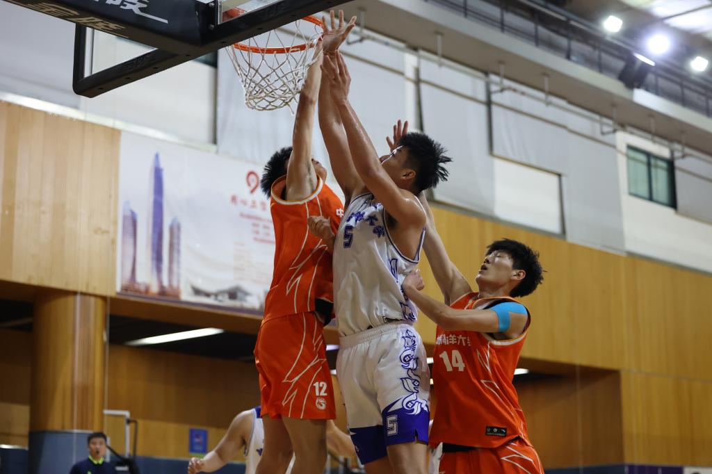 437ccm·必赢国际