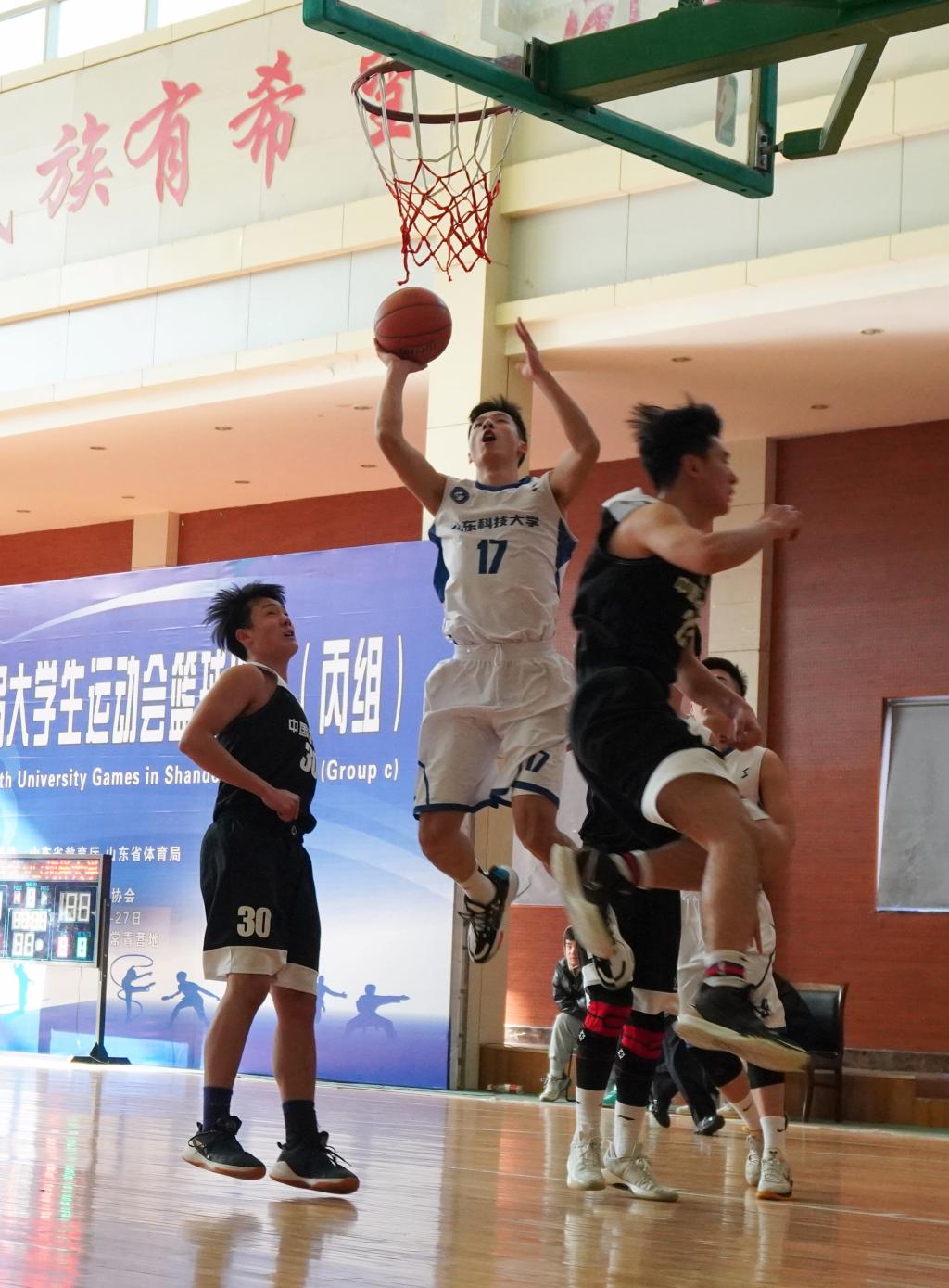 437ccm·必赢国际