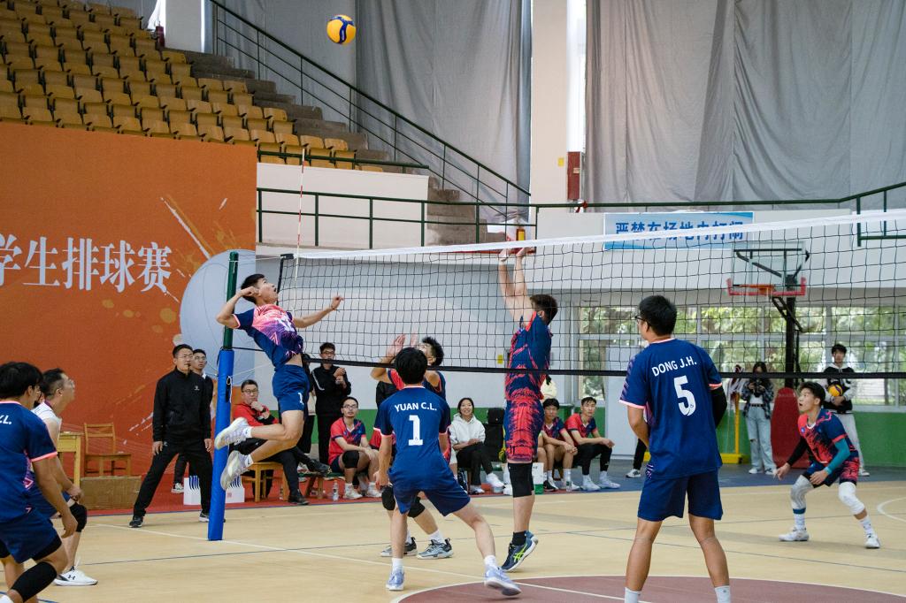 437ccm·必赢国际