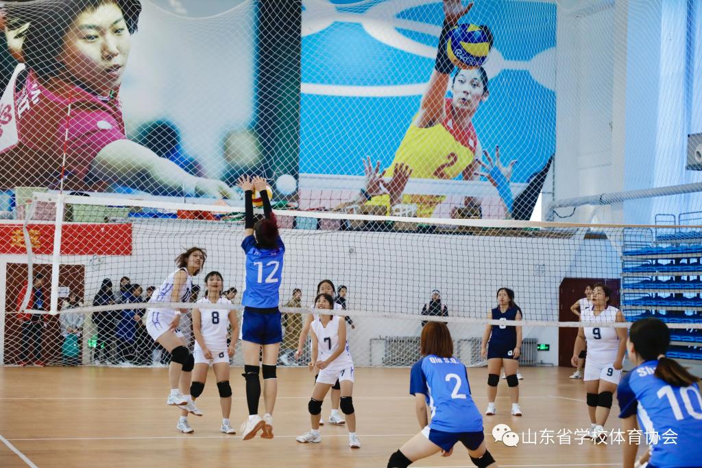 437ccm·必赢国际