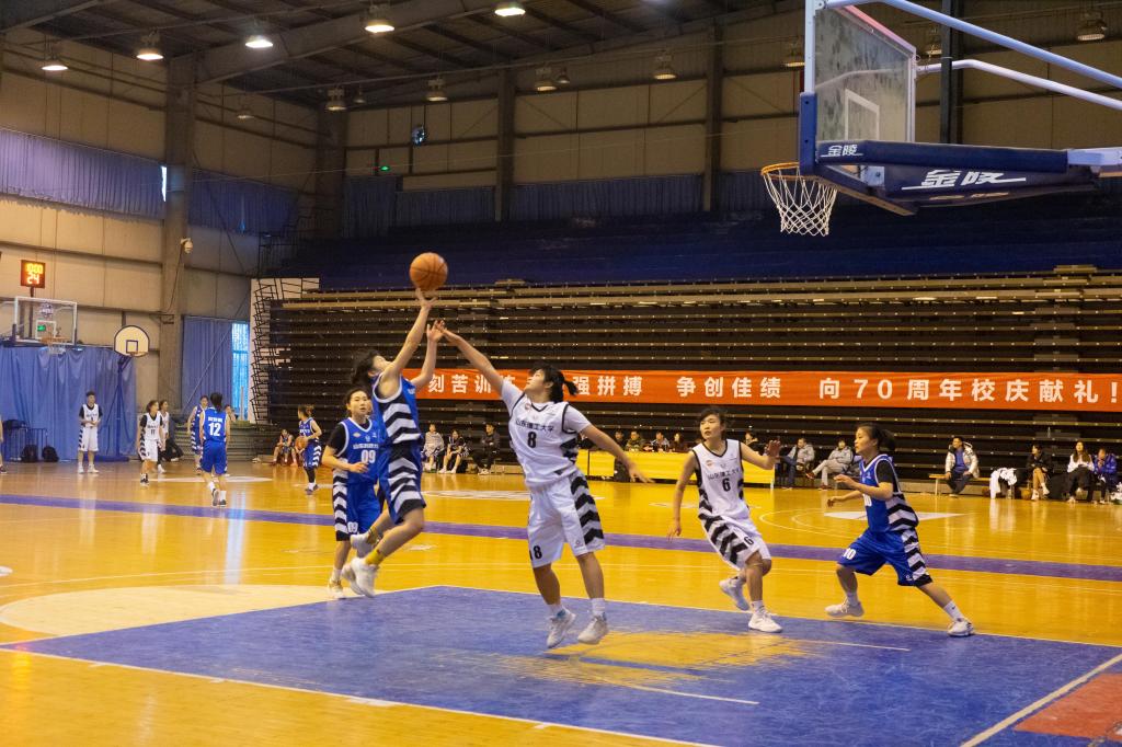 437ccm·必赢国际