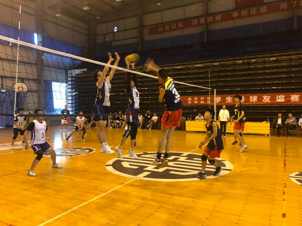 437ccm·必赢国际