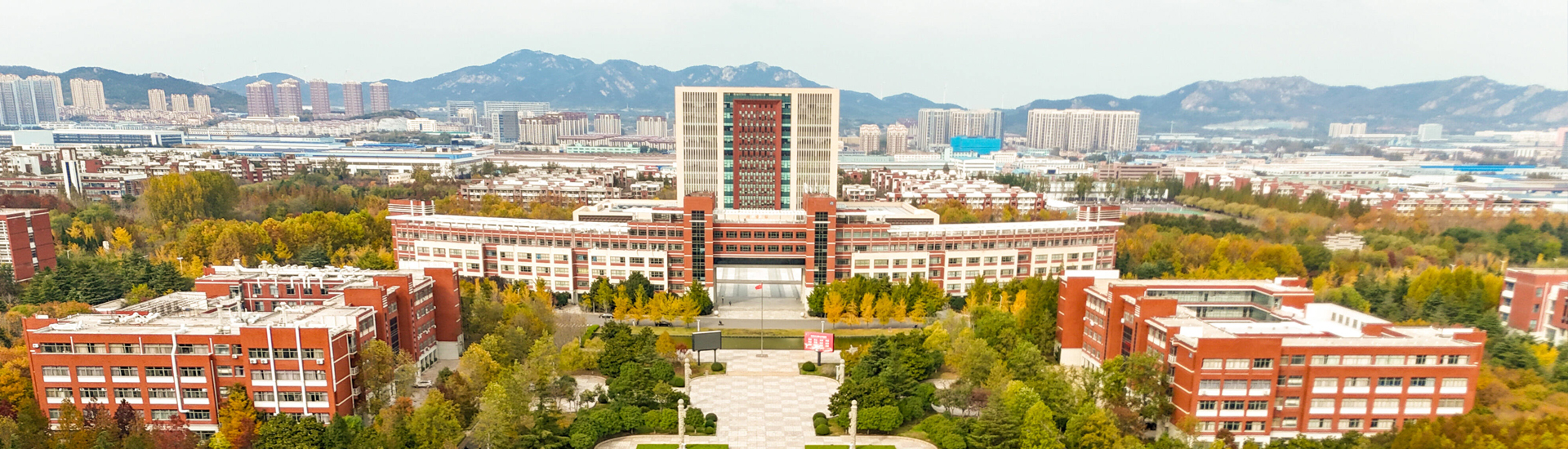 437ccm·必赢国际